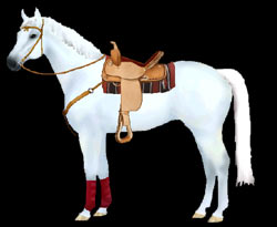 Click here to design your horsey!